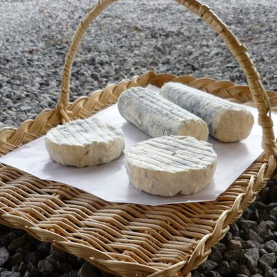 Petit colis : 4 fromages